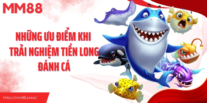 Những ưu điểm khi trải nghiệm Tiền Long Đánh Cá